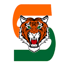 Stockbridge High School (GA) Varsity Softball